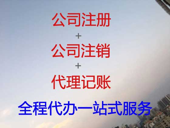 阳春公司注册
